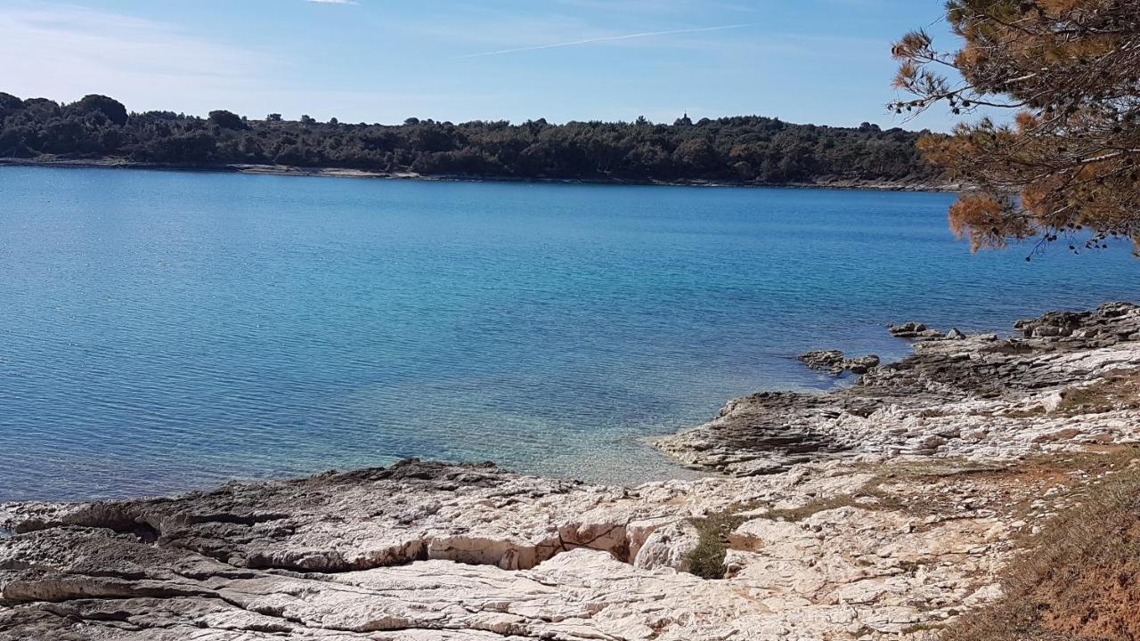 Casa Matea - 90 M From The Sea, New Private Swimming Pool Apartment Pula Luaran gambar
